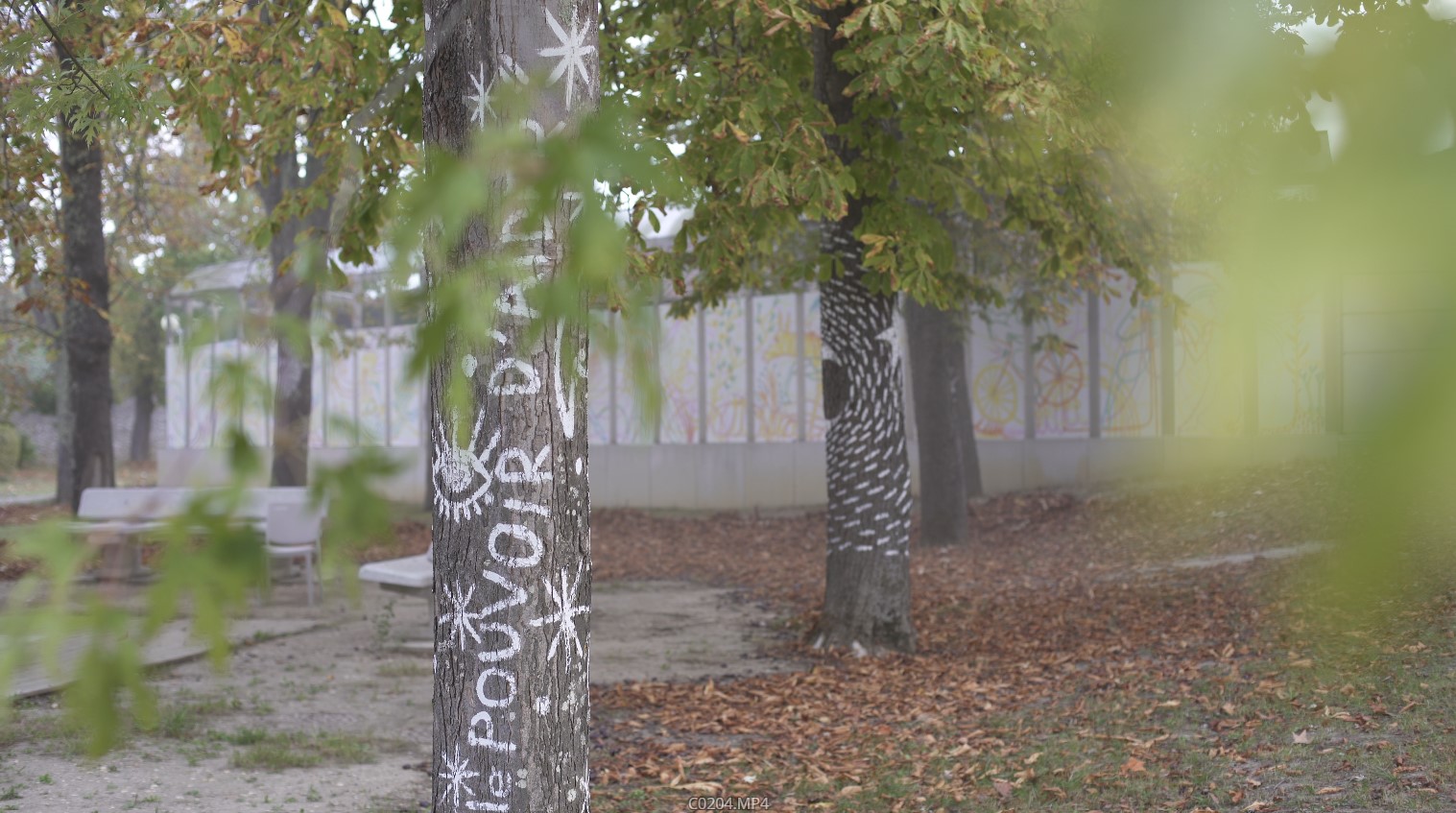 Arbre - pouvoir d'aider