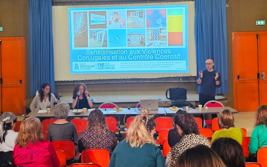 Salle de conférence, information sur les VIF, intervention de Sylvain REIBLE, Psychologue avec visualisation d'une partie des professionnels