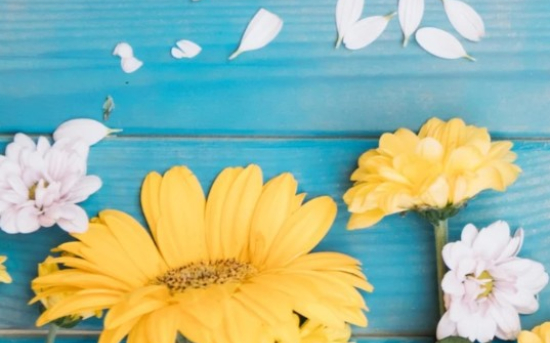 Printemps de la culture 