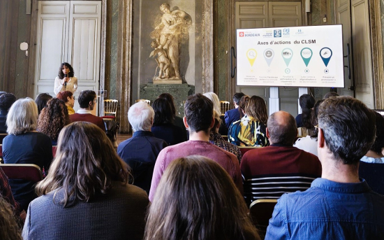 Assemblée plénière CLSM Bordeaux