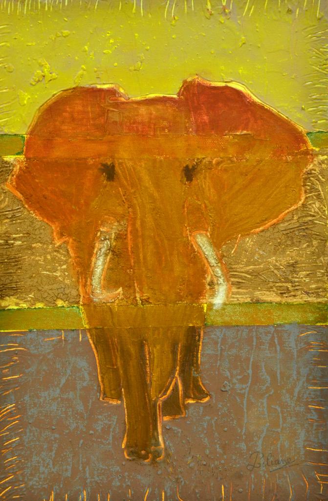 047-un éléphant
