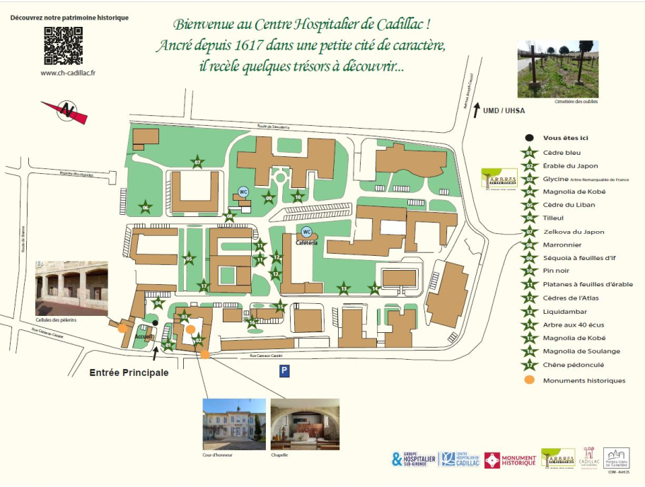 Plan avec légende du circuit des arbres au CH de Cadillac ainsi que des particularités architecturales